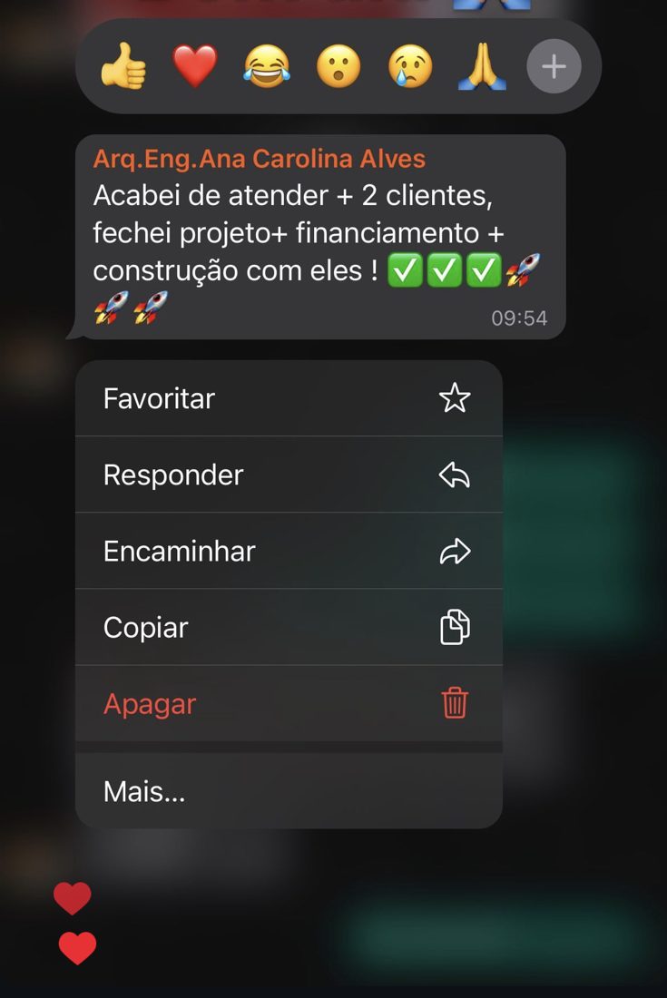 Ana Carolina, projeto + financiamento + construção
